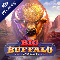 Big Buffalo